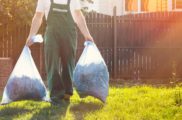 Best Construction Debris Removal  in Albion, NY